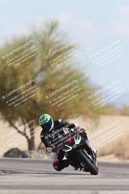 media/Oct-13-2025-Moto Forza (Mon) [[a66d839500]]/3-B Group/Session 4 Turn 4 Tree of Life/